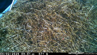 20260502-0900-manitou