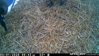 20260501-0943-manitou