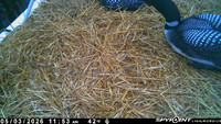 20260503-1153-manitou