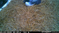 20260503-0940-manitou