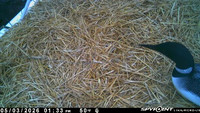 20260503-1330-manitou