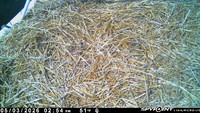20260503-1500-manitou