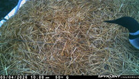 20260504-1008-mainitou