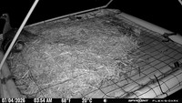 20260704-0354-bryant