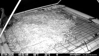 20260704-0502-bryant