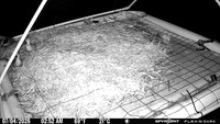 20260704-0252-bryant