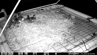 20260703-2214-bryant