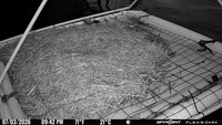 20260703-2142-bryant