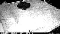 20250603-0205-marl