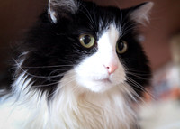 20140404_4883c2a
