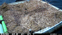 20250603-1021-marl