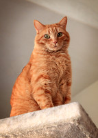 20140404_4810c