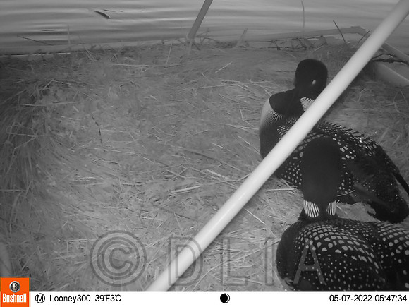 20220507_Manitou_0756