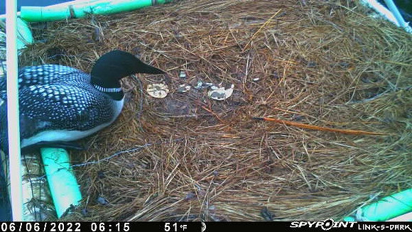 20220606-0614