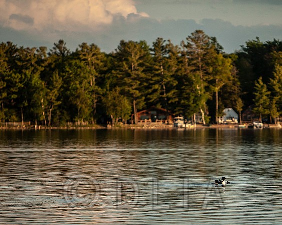 20210601_0136-scene