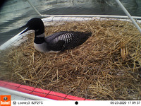 EK003088 - Copy