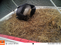 EK003084 - Copy