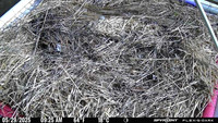 20250529-0925-bryants