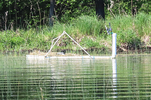 20240530_0366-c96