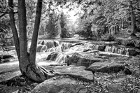 BondFalls2011-Ann