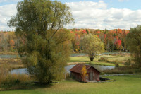 15-Alanson