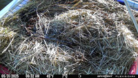 20250531-0632-bryants