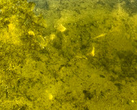 20210916-9717-8x6-300