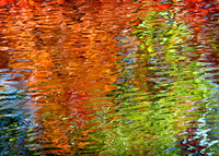 09-FallReflections