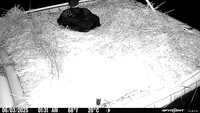 20250603-0131-marl