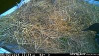20250602-0734-manitou