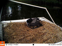 THUMB_101EK113_EK000346