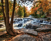 CTAC-BondFalls2