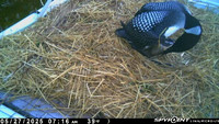 20250527-0716-manitou