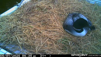 20250601-0635-manitou