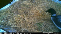 20250602-0735-manitou