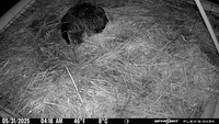 20250531-0418-bryants