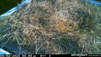 20250602-0808-manitou
