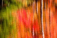 11-FallReflections4