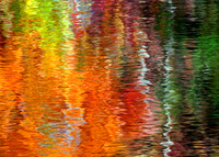 10-FallReflections2