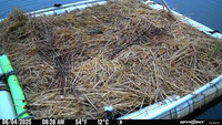 20250604-0828-marl