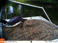 THUMB_101EK113_EK000400